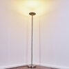 Wonsbek Floor Lamp LED matt nickel, 1-light source