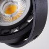 Grytgol Ceiling Light black, 2-light sources