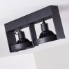 Grytgol Ceiling Light black, 2-light sources