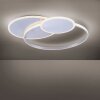 Paul Neuhaus EMILIO Ceiling Light LED silver, 1-light source, Remote control