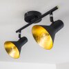 Mavas Ceiling Light black, 2-light sources