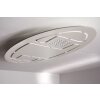 Eva Luz Ellipse ceiling light LED white, 2-light sources