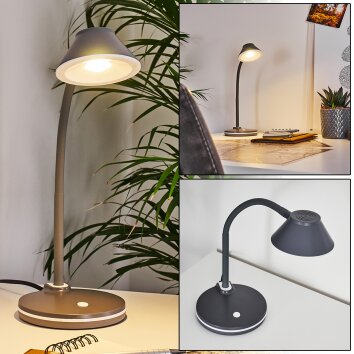 SHREVEPORT Table lamp LED anthracite, white, 1-light source