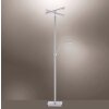 Paul Neuhaus ARTUR Floor Lamp LED stainless steel, 2-light sources