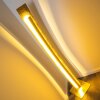 Petrolia floor lamp LED gold, 1-light source