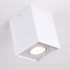 BETSIE Ceiling Light white, 1-light source