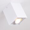 BETSIE Ceiling Light white, 1-light source