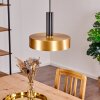 MANAUS Pendant Light black, 1-light source