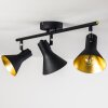 Mavas Ceiling Light black, 3-light sources