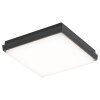 Outdoor Ceiling light LCD TYP 5060 LED black, 1-light source