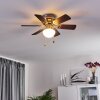 TRILLO ceiling fan grey, Light wood, matt nickel, 1-light source