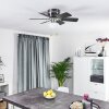 TRILLO ceiling fan grey, Light wood, matt nickel, 1-light source