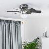 TRILLO ceiling fan grey, Light wood, matt nickel, 1-light source