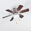 TRILLO ceiling fan grey, Light wood, matt nickel, 1-light source