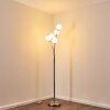 Bernardo floor lamp matt nickel, 5-light sources