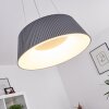 FREMONT Pendant Light LED grey, 1-light source, Remote control