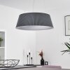 FREMONT Pendant Light LED grey, 1-light source, Remote control