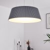 FREMONT Pendant Light LED grey, 1-light source, Remote control
