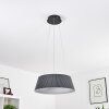 FREMONT Pendant Light LED grey, 1-light source, Remote control