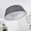 FREMONT Pendant Light LED grey, 1-light source, Remote control