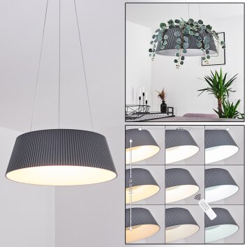 FREMONT Pendant Light LED grey, 1-light source, Remote control
