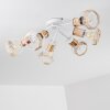 Barbacena Ceiling Light white, 6-light sources