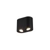Ceiling Light Trio Leuchten COOKIE black, 2-light sources