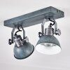 Gudo Ceiling Light grey, silver, 2-light sources
