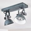 Gudo Ceiling Light grey, silver, 2-light sources