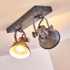 Gudo Ceiling Light grey, silver, 2-light sources
