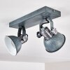 Gudo Ceiling Light grey, silver, 2-light sources