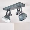 Gudo Ceiling Light grey, silver, 2-light sources