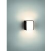 Philips myGarden MACAW wall light LED black, 1-light source